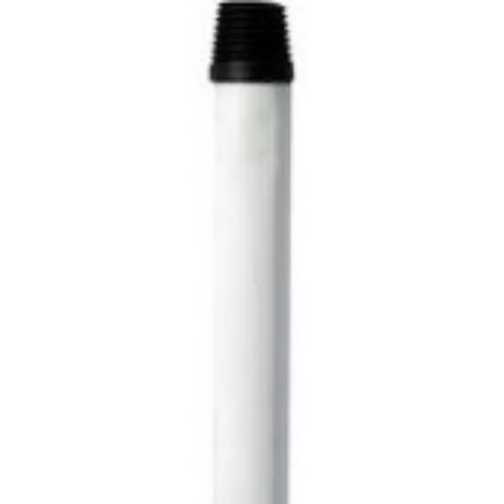 Partvisnyél